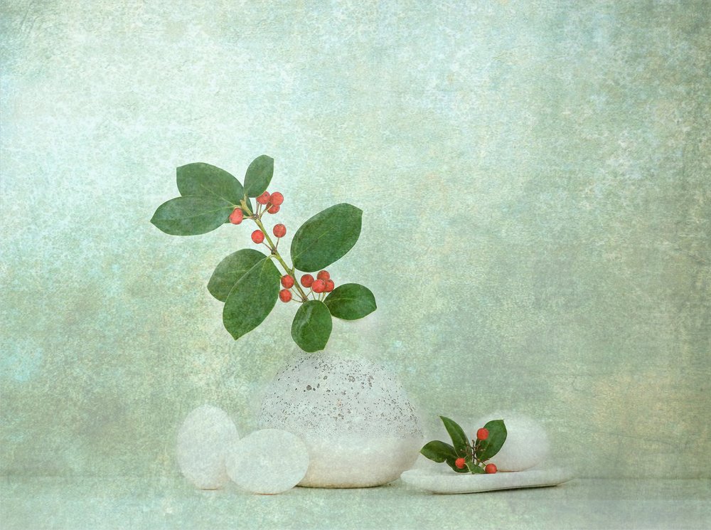 Naturlig bärsten – Zen av Catherine Wang