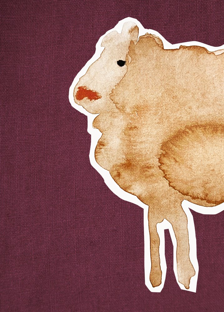 Får Maroon1 av Christina Misuro