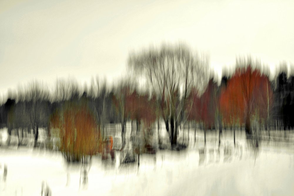 Sammanfattning: Vinterskog av Christina Sillen