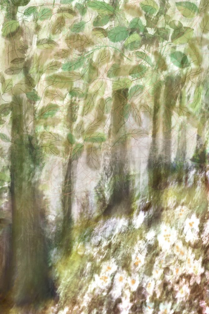 Drömlika skogsblommor av Christina Sillen