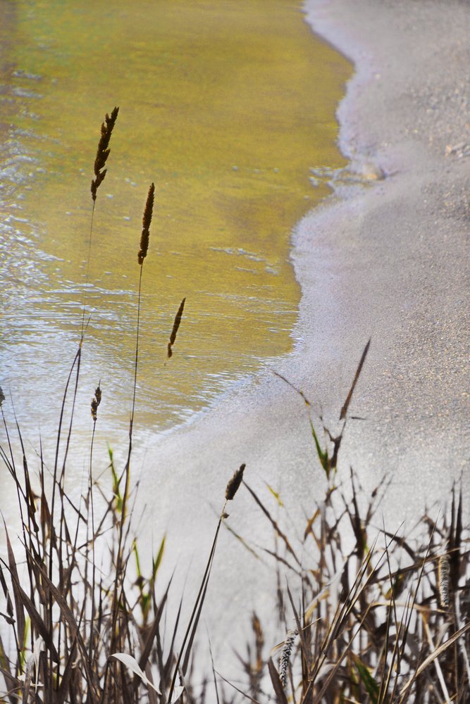 Golden Shore-vass av Christina Sillen