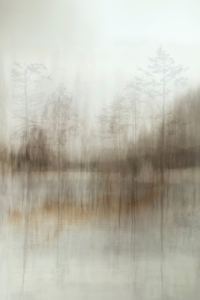 Reflektioner i den dimmiga skogen av Christina Sillen