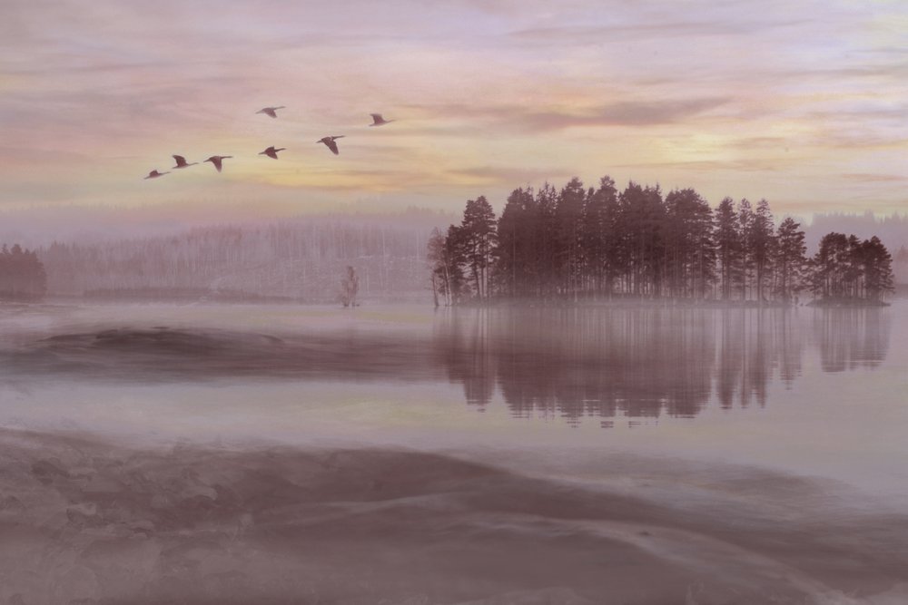 Fåglar i flykt över Misty Lake av Christina Sillen