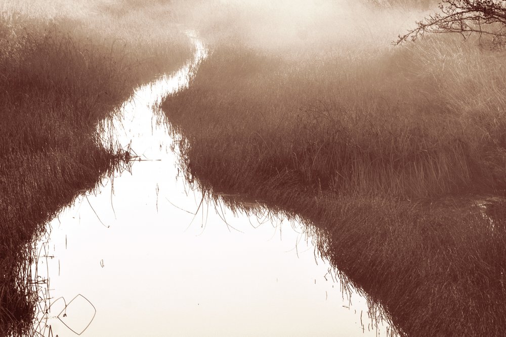 Misty River-stigen av Christina Sillen