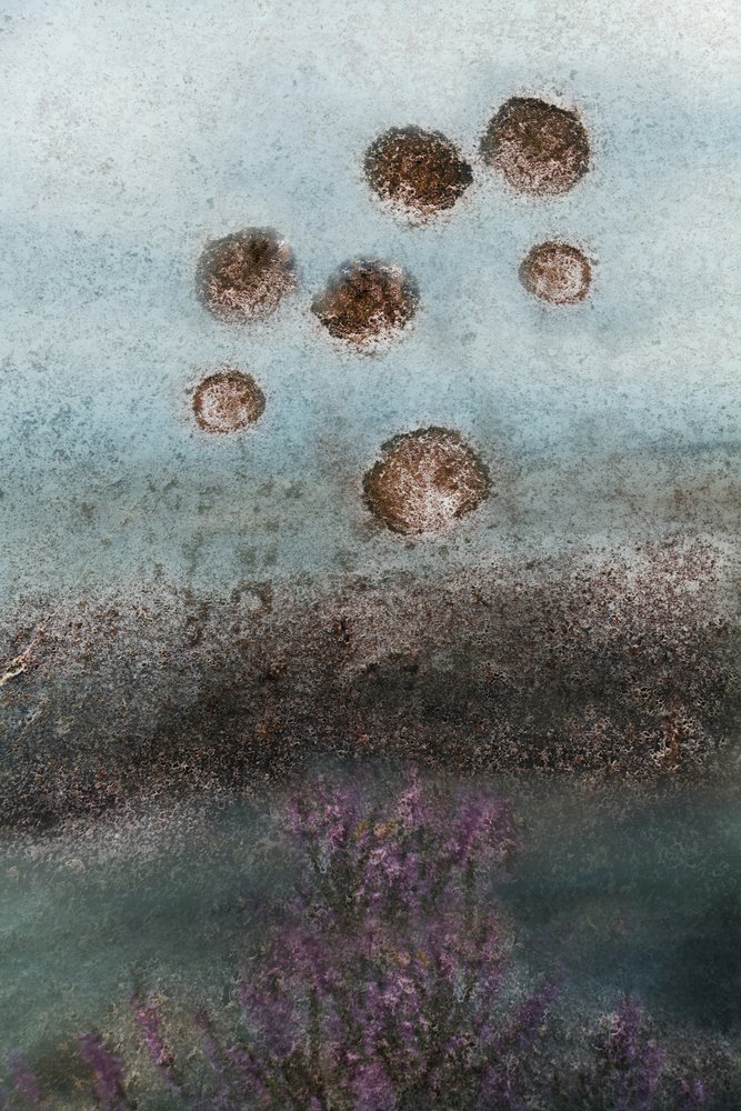 Lila blommor och en abstrakt himmel av Christina Sillen