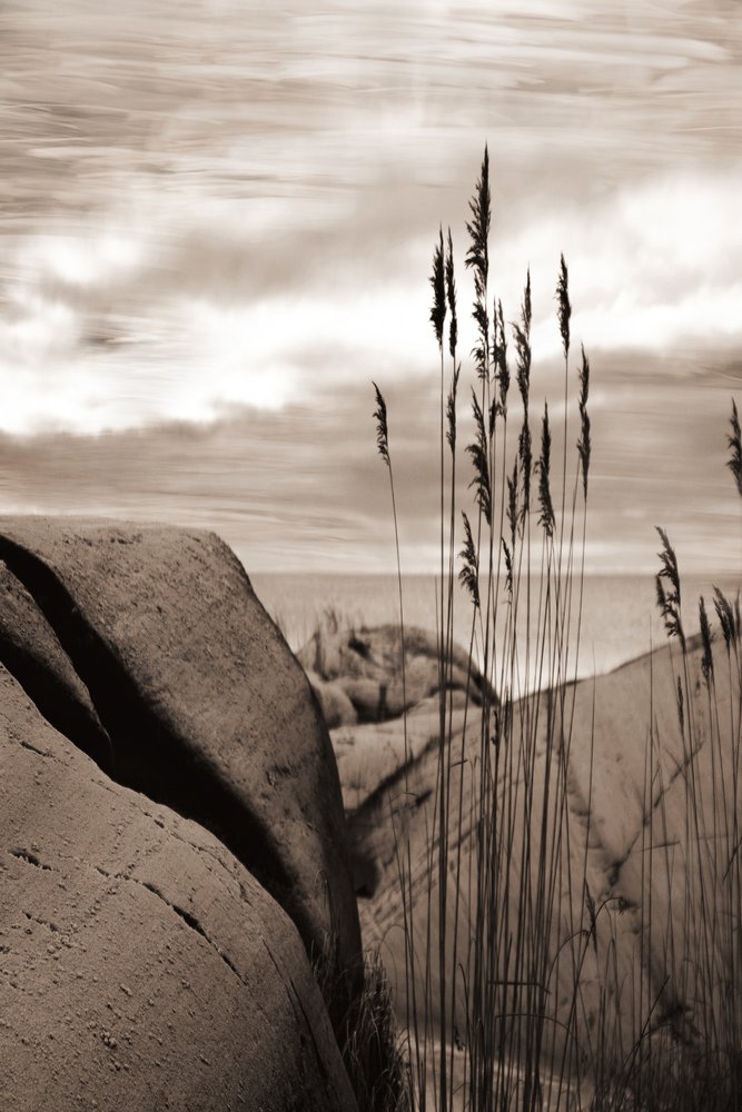 Vass vid havet av Christina Sillen
