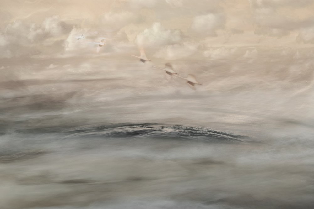 Silver Haze av Christina Sillen