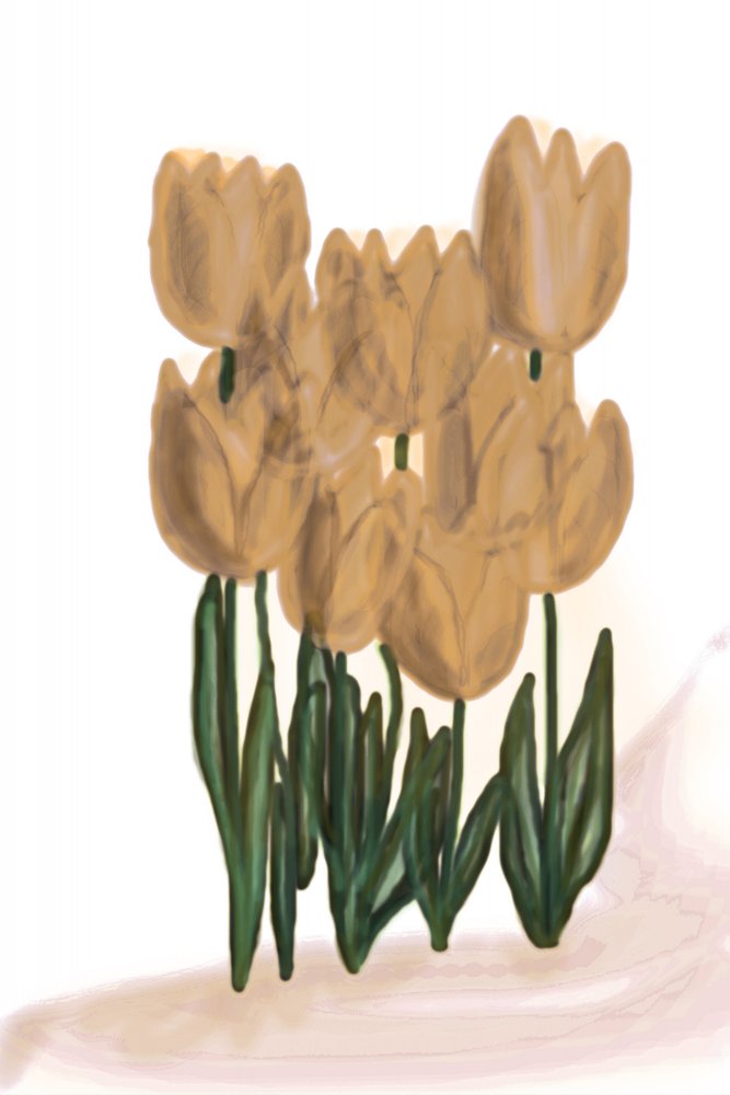 Mjuka beige tulpaner av Christina Sillen