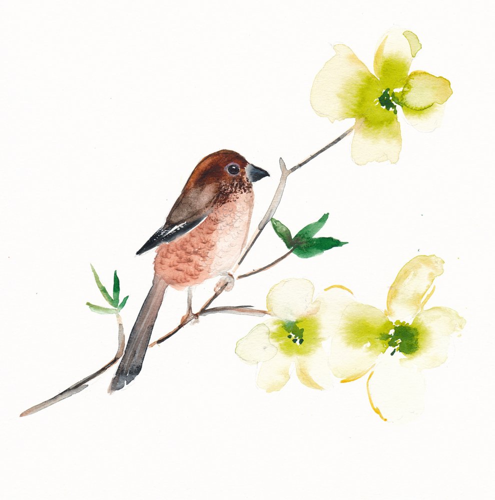 Akvarell: Fåglar och blommor av Christine Lindstrom