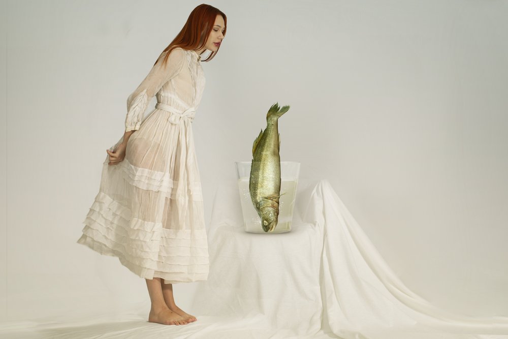 Den nyfikna kvinnan och fisken av Christine von Diepenbroek