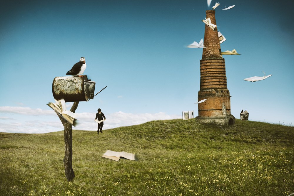 Puffin Flying Books av Christine von Diepenbroek