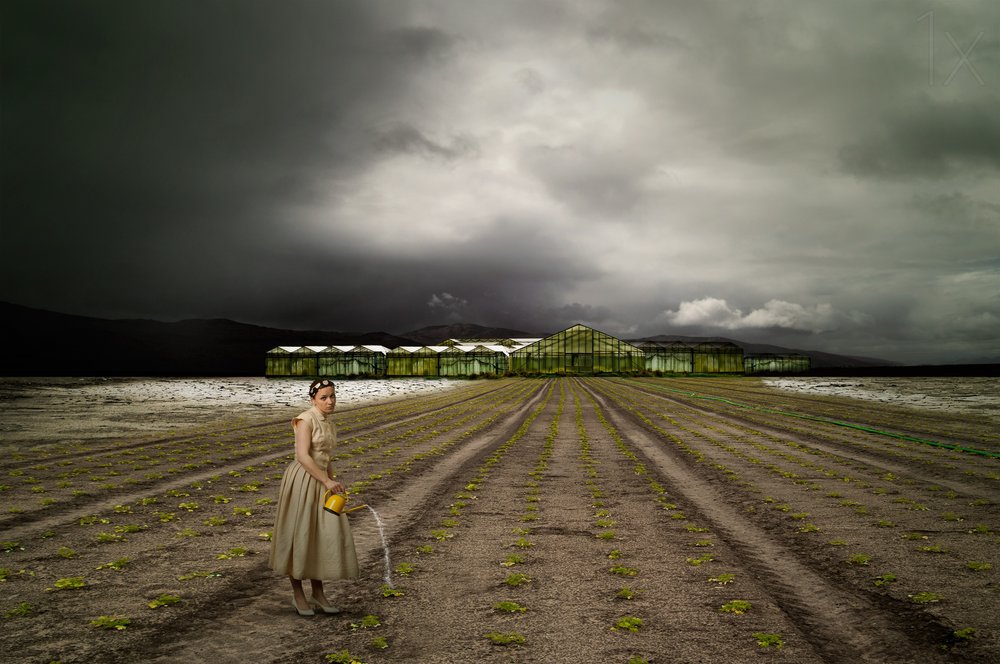 Den ensamma trädgårdsmästaren Stormy Field av Christine von Diepenbroek