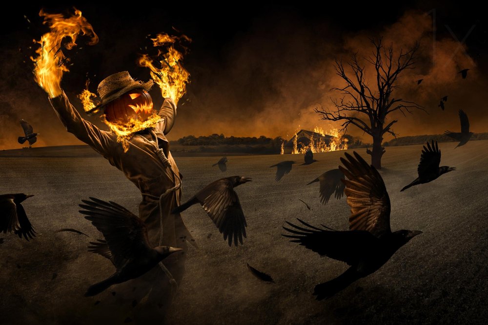Halloween: Fågelskrämans inferno av Christophe Kiciak