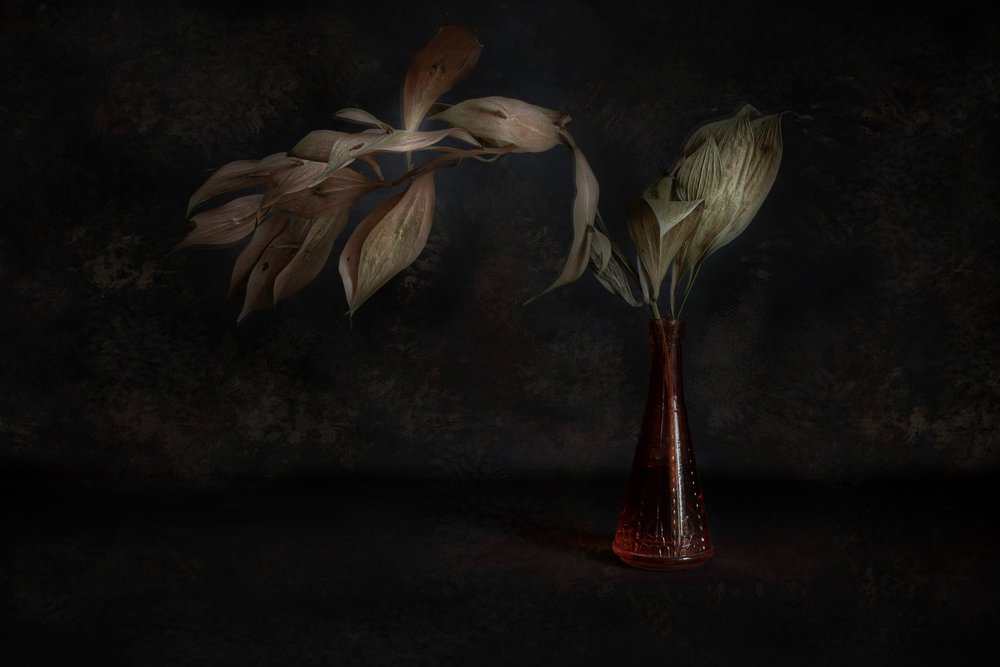 Mörkt botaniskt stilleben av Cicek Kiral
