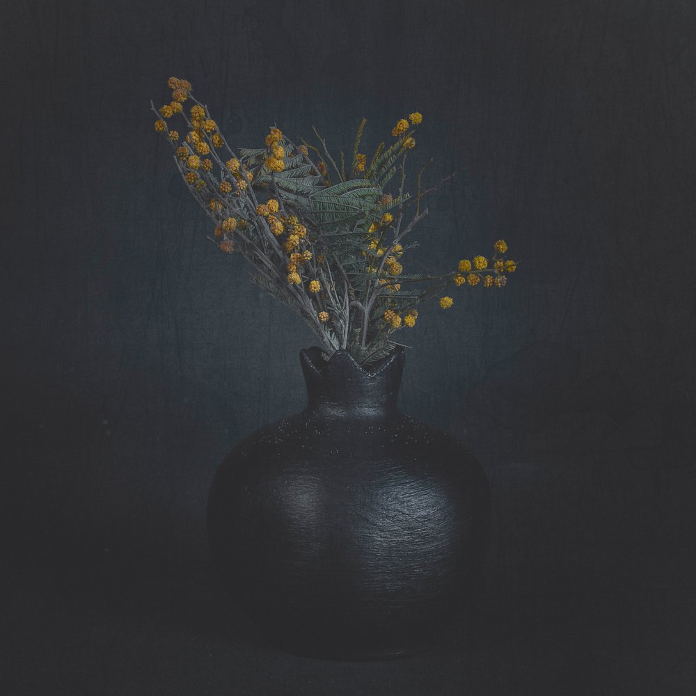 Mörkt blomsterstilleben av Cicek Kiral