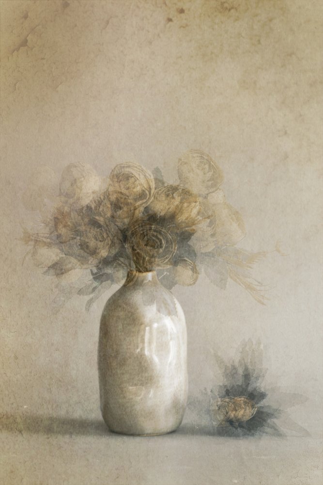 Eteriska torkade blommor av Cicek Kiral