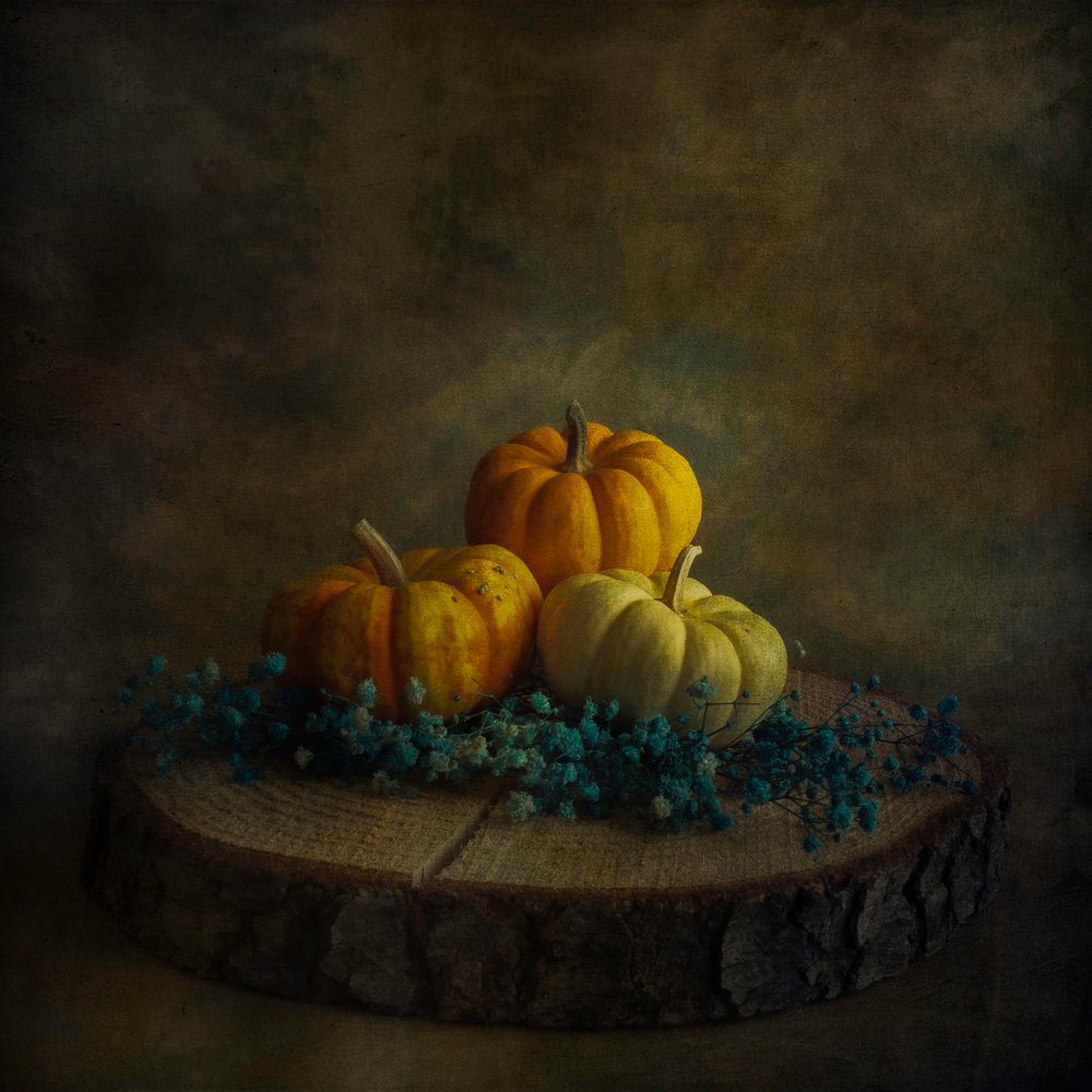 Pumpor från Moody Harvest av Cicek Kiral