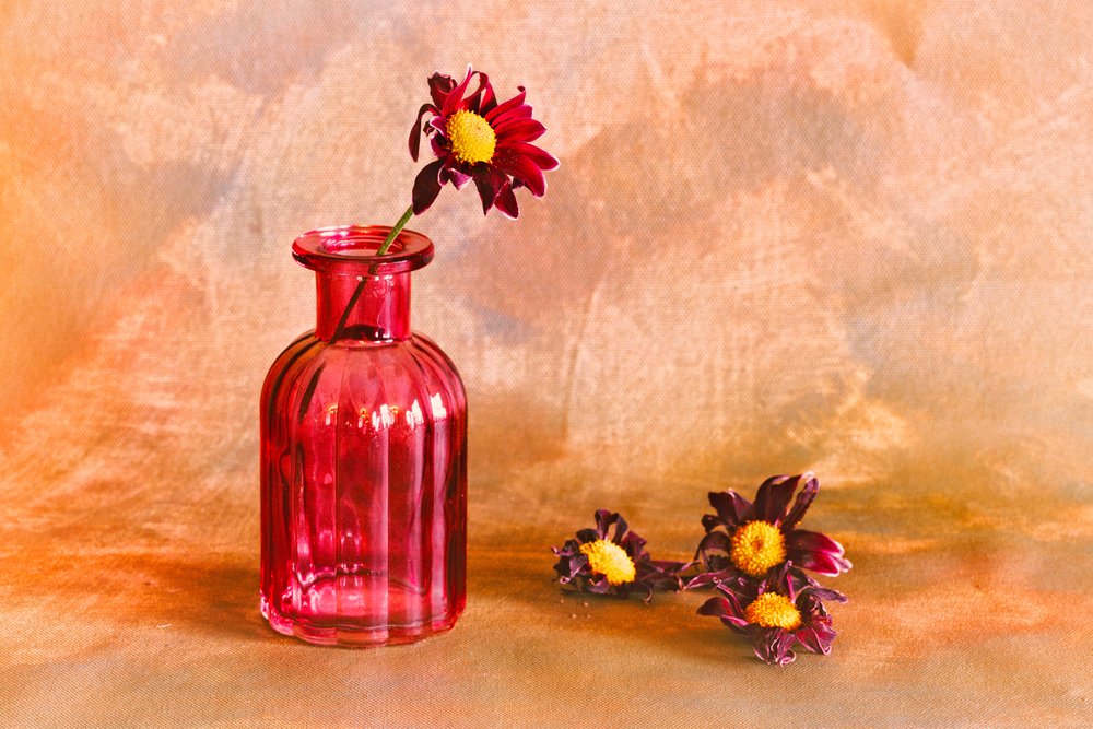Moody Red-dahlior av Cicek Kiral