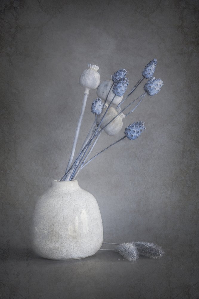 Lugna torkade blommor av Cicek Kiral