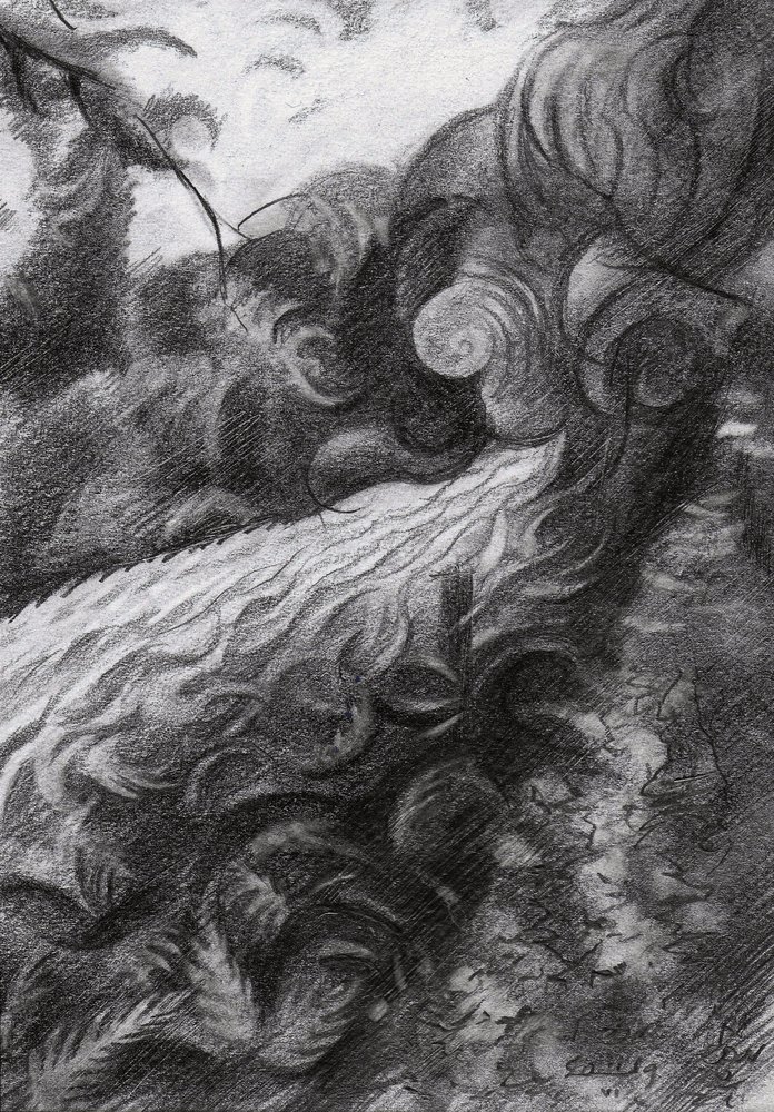 Vattenflödet i Dark Forest Stream av Corné Akkers