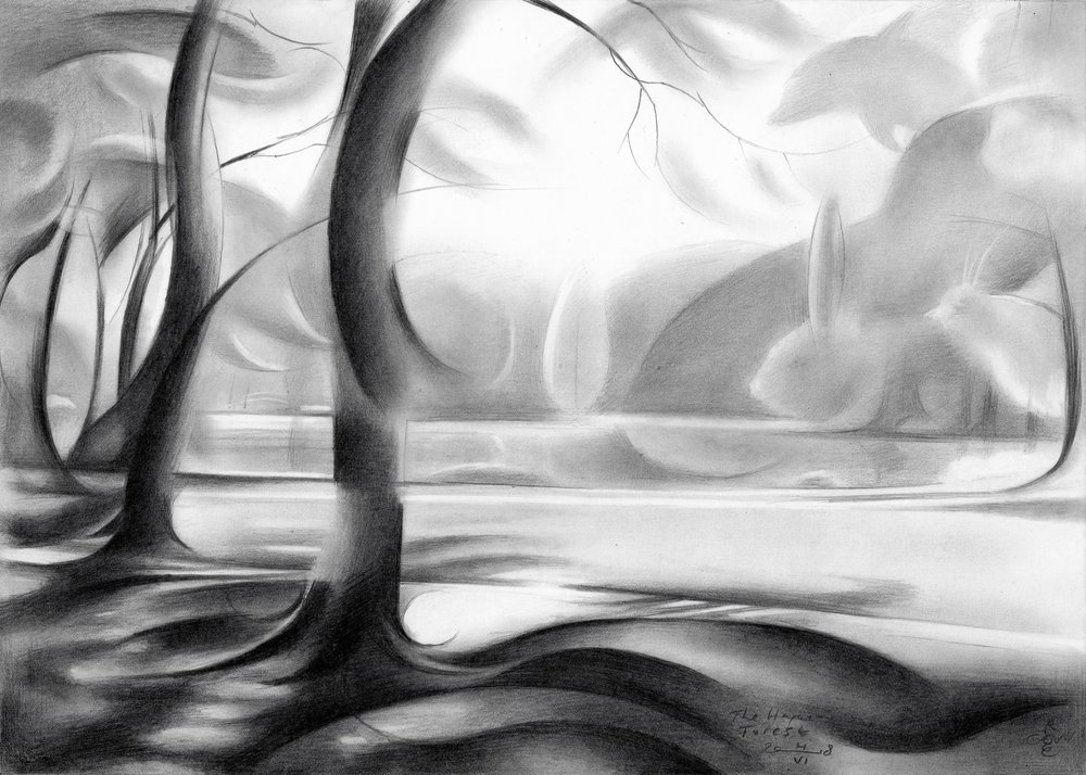 Reflektioner från den mystiska skogen av Corné Akkers