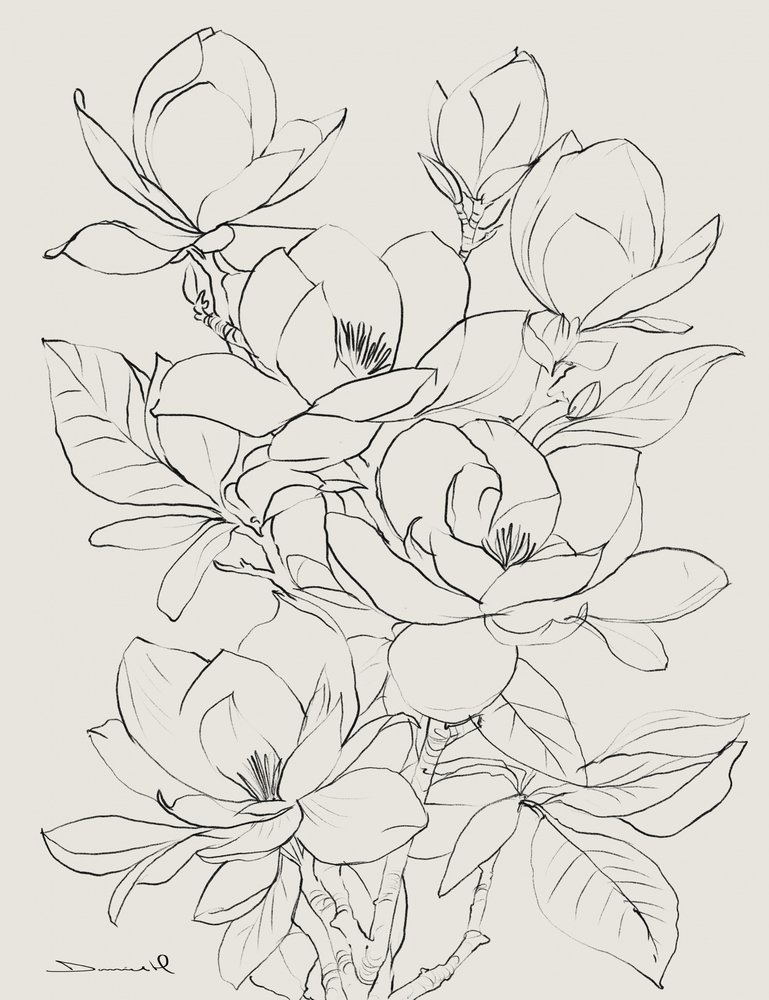 Magnoliaträd av Dan Hobday