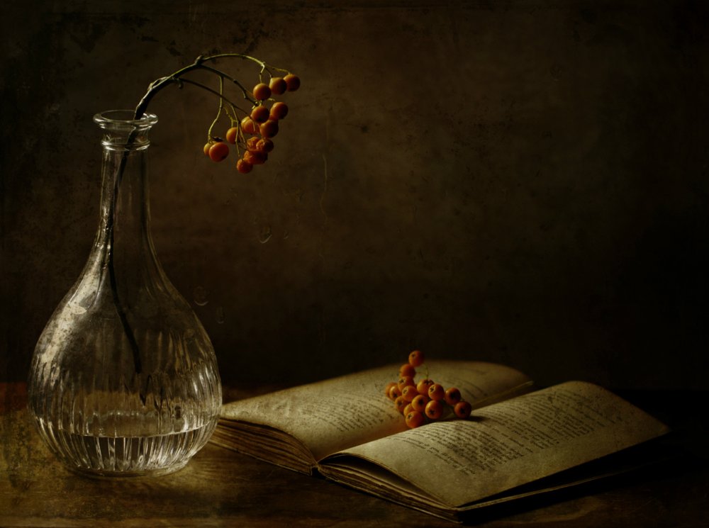  av Delphine Devos