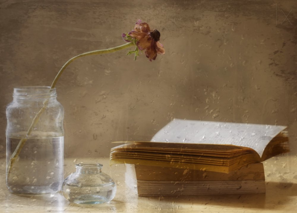Melankolisk blomning och bok av Delphine Devos