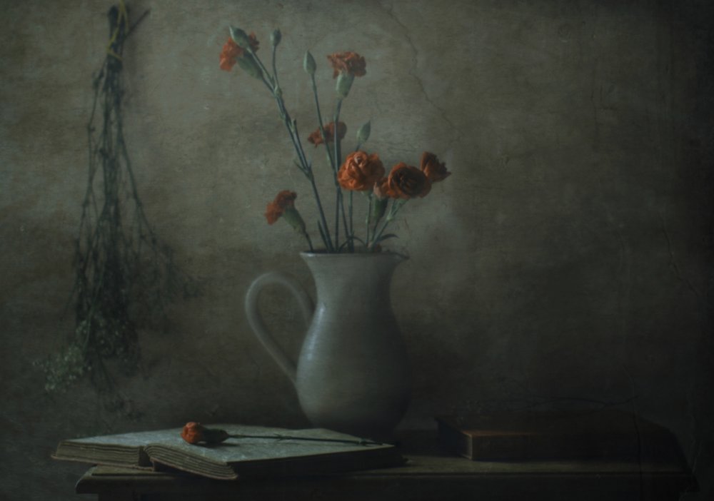  av Delphine Devos