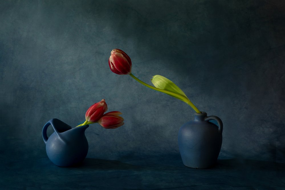 Elegant stilleben med tulpaner av Dennis Zhang