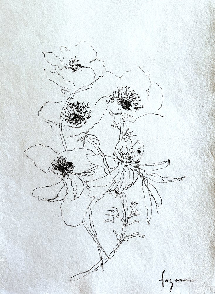 En fin blomsterskiss av Dorothy Fagan