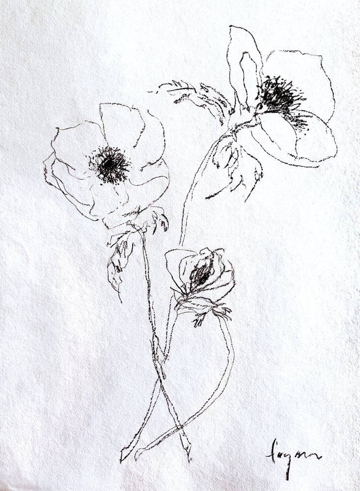 Skiss av en ömtålig blomma av Dorothy Fagan