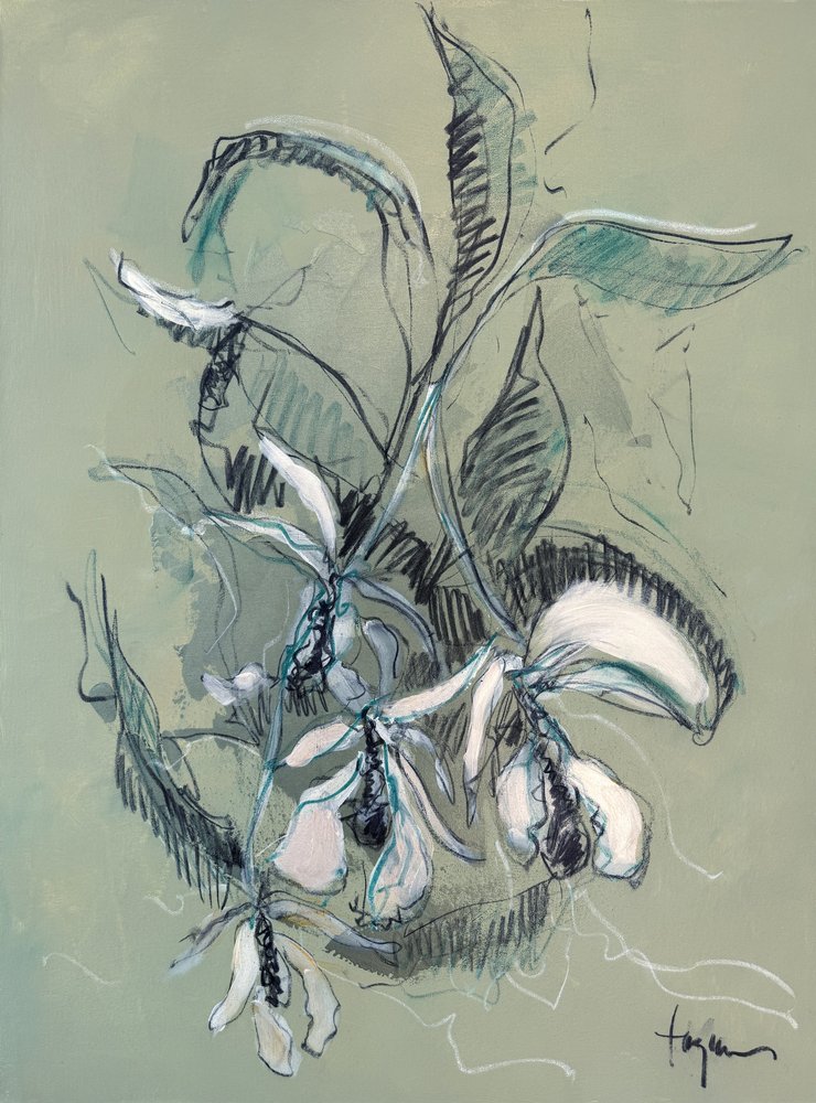 Elegant orkidé-skiss av Dorothy Fagan