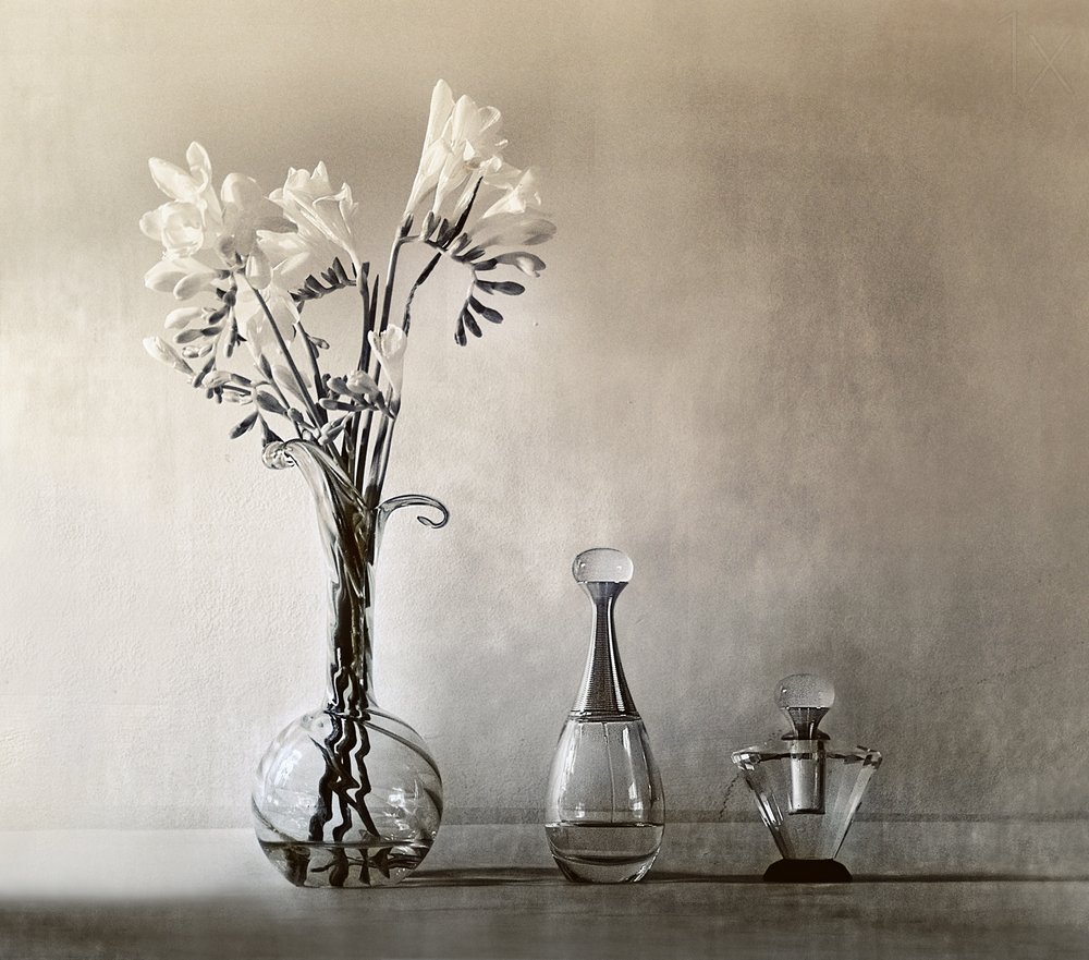 Eleganta blommor och parfym av Elena Arjona