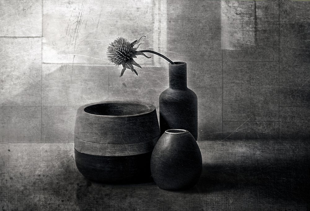 Moody Thistle-fartyg av Elena Arjona