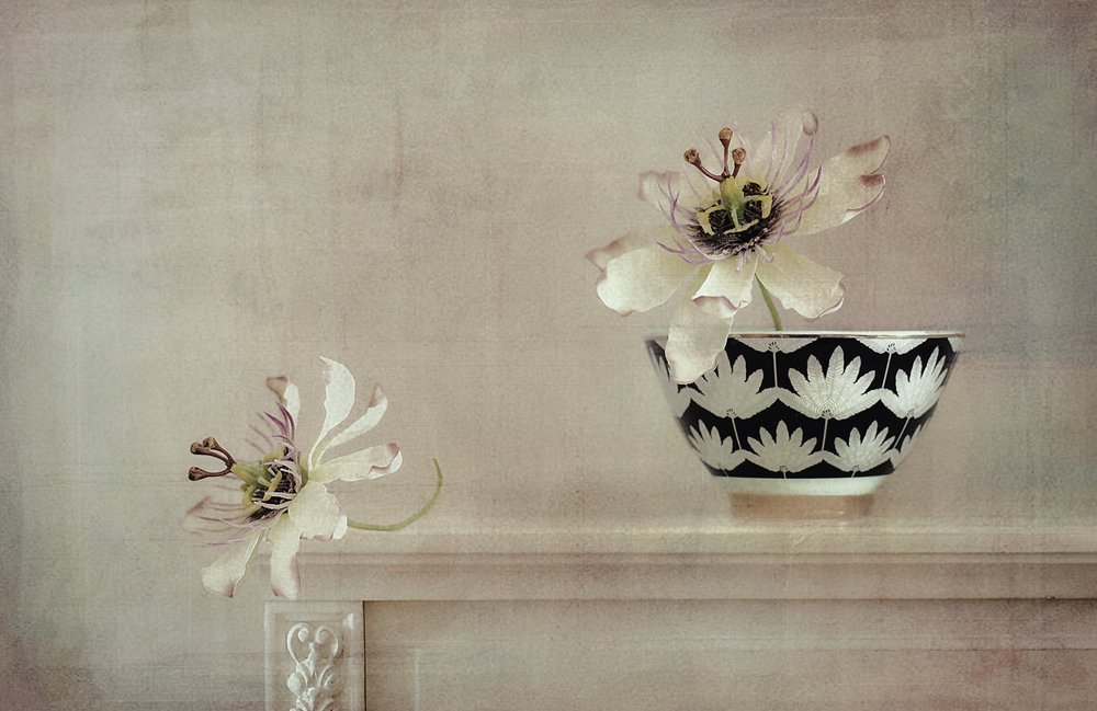 Stilleben med passionsblomma av Elena Arjona