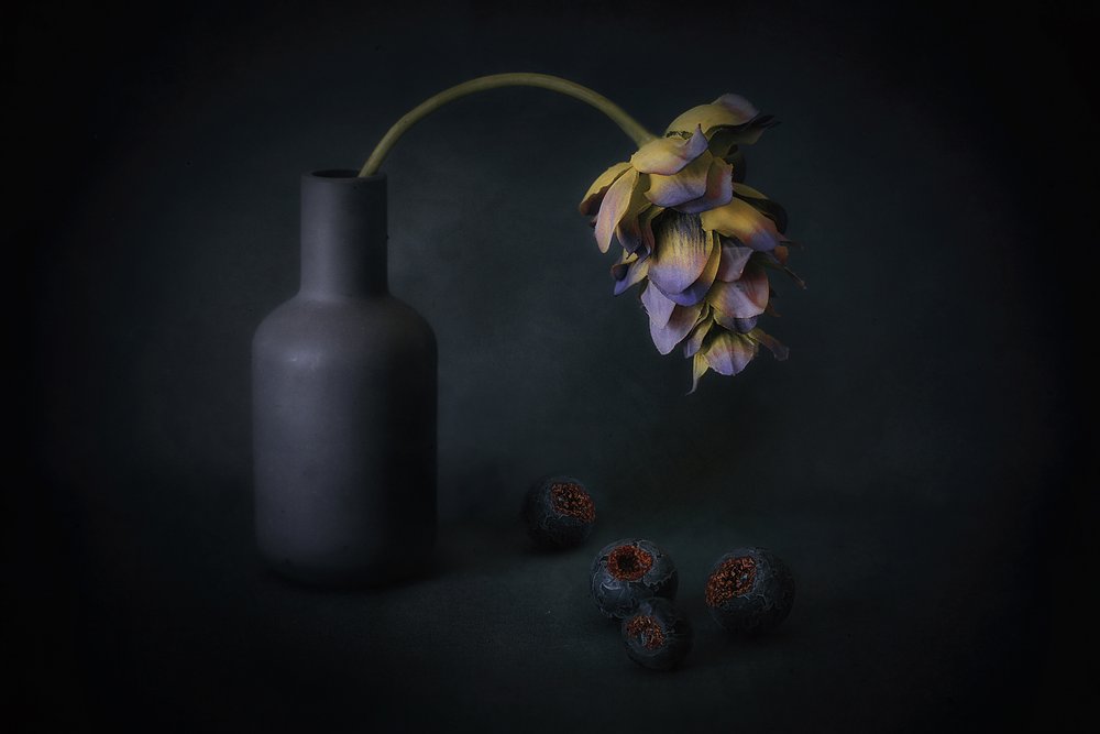 Blommor och bär i skuggan av Elena Arjona