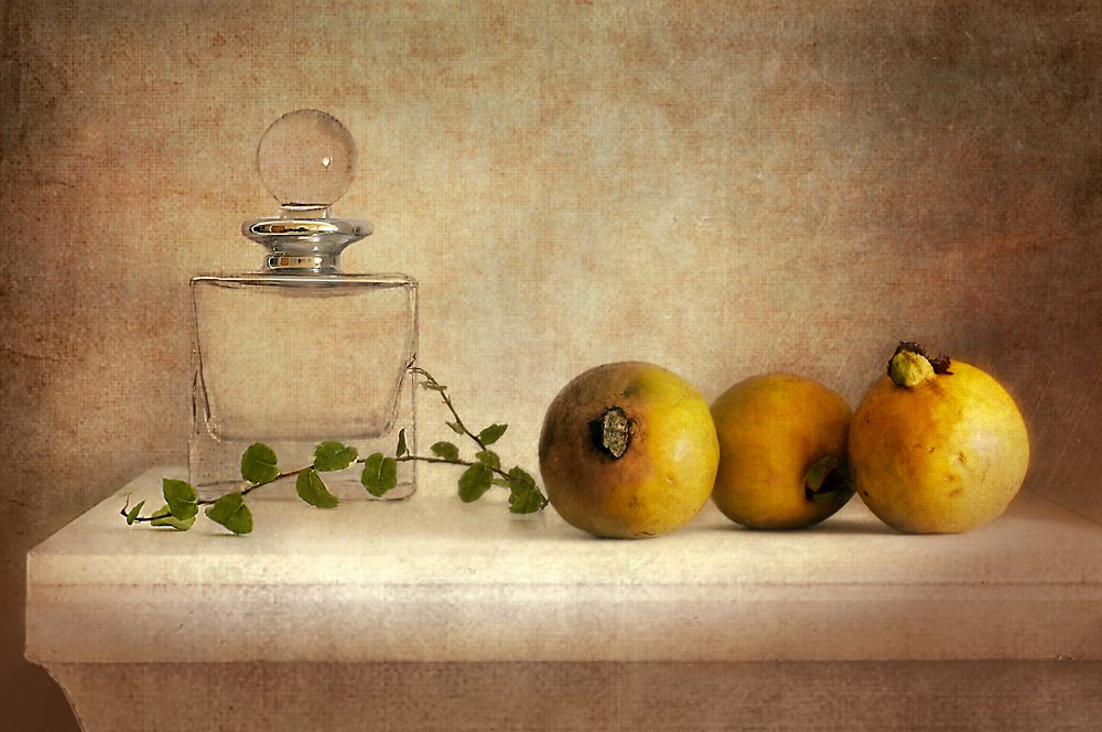 Vintage-stilleben med guava av Elena Arjona