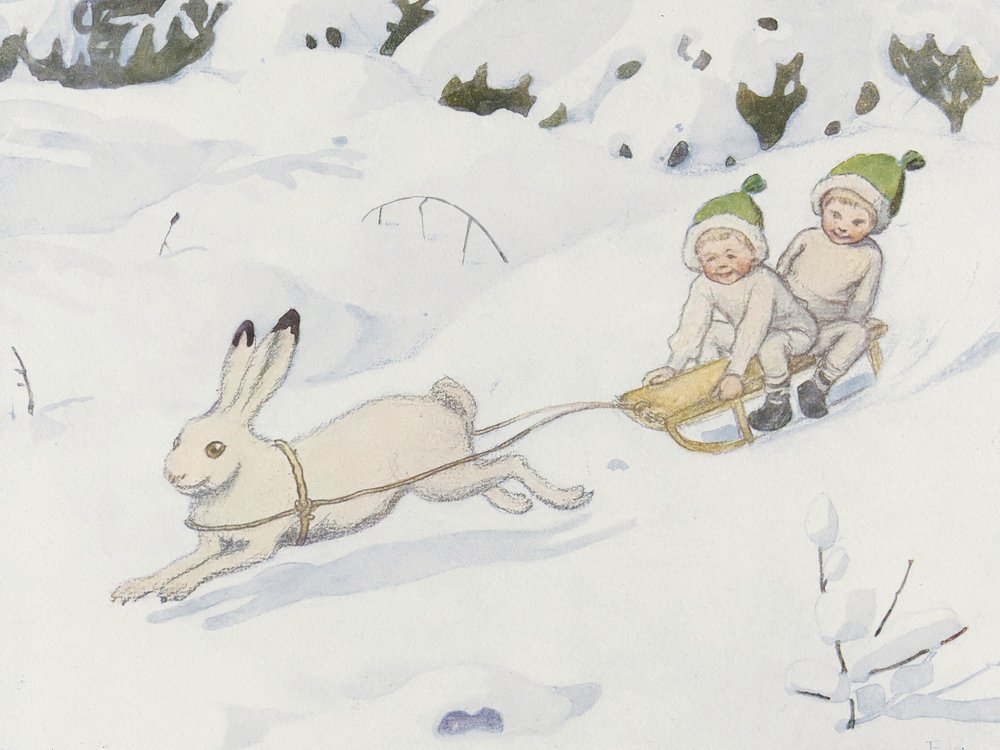 Snöharen av Elsa Beskow