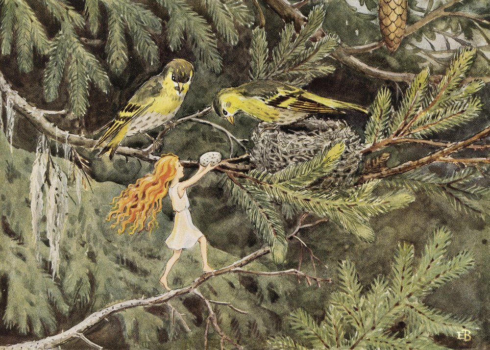 Solägget (1932) Fåglarna av Elsa Beskow
