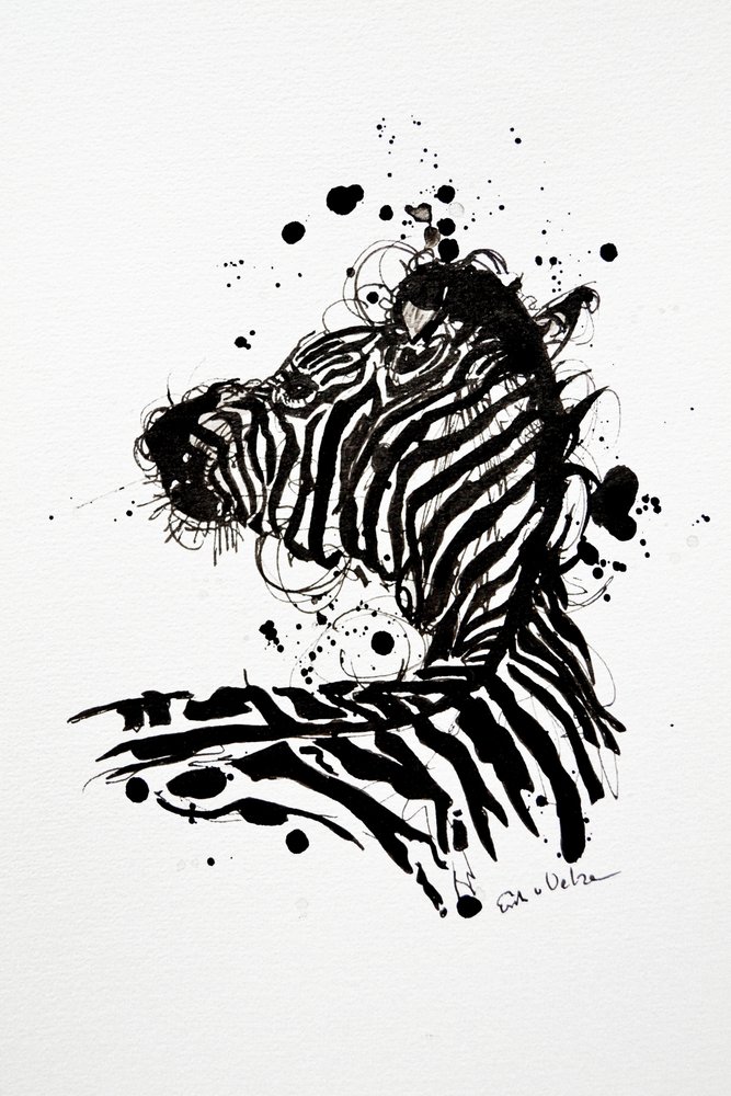 Vild zebra – bläckstänk av Erik Van Velzen