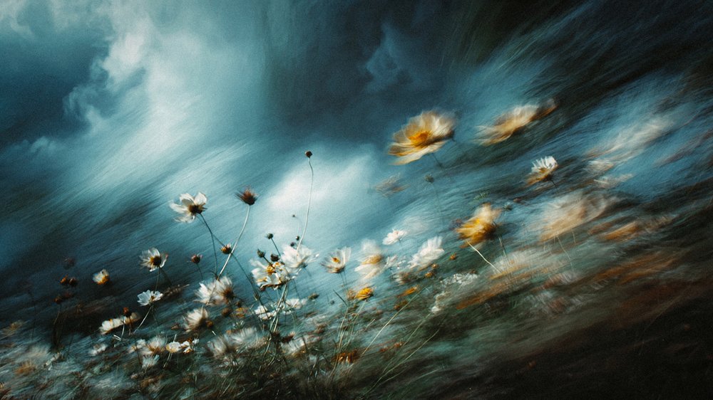 Stormiga vildblommor av Erkan Camlilar