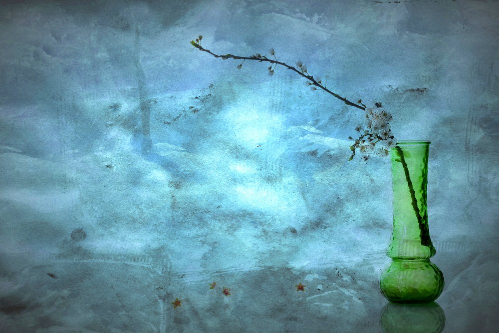 Stilla blå blommor av Eyal Amer
