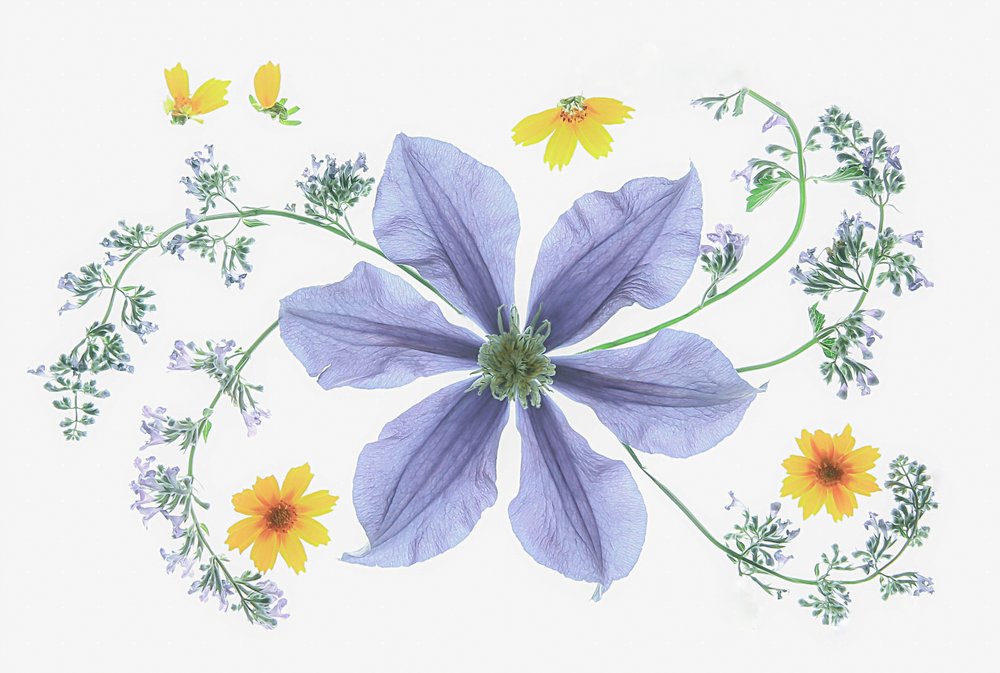 Färsk blomsterarrangemang av Fangping Zhou
