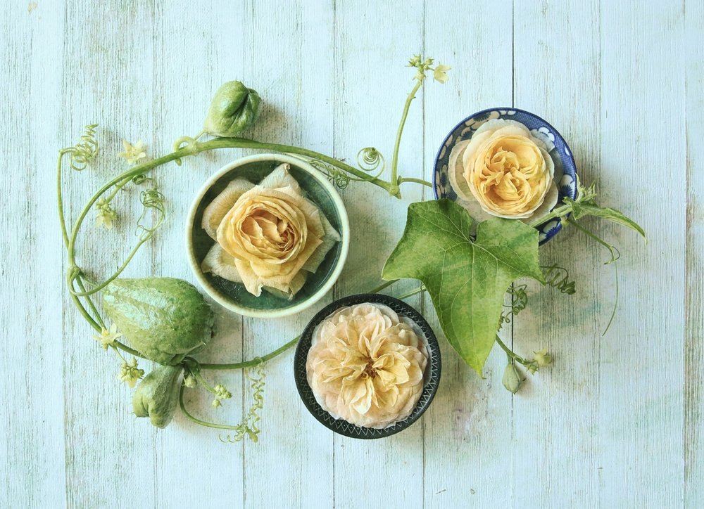 Pastellrosa kalebasser av Fangping Zhou