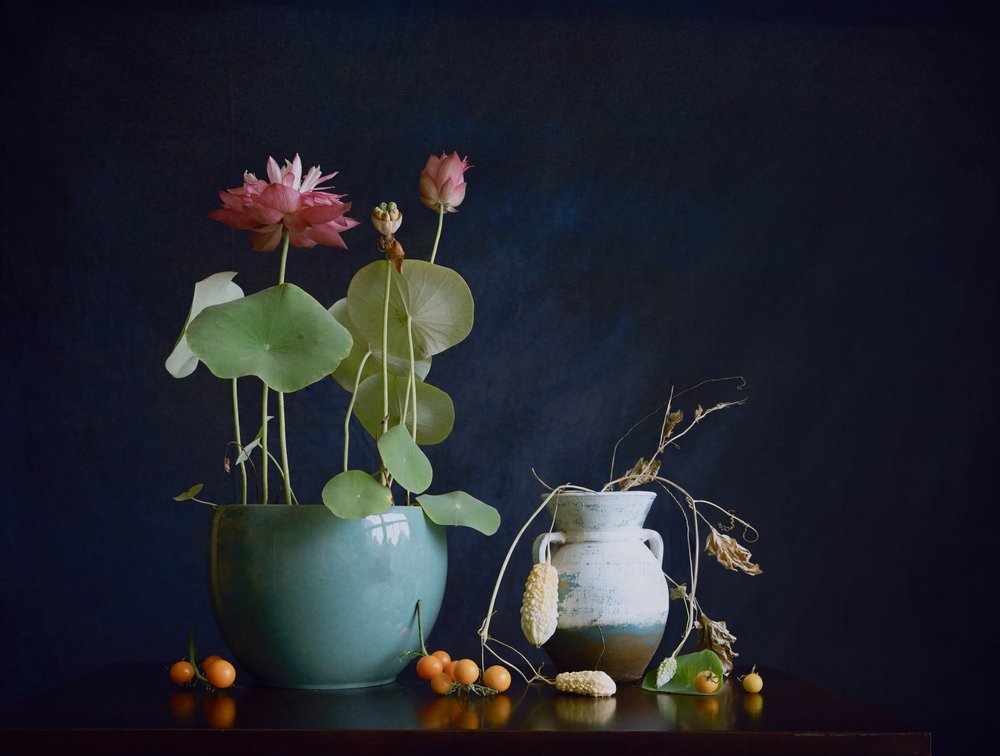 Stilleben med rosa lotusblomma av Fangping Zhou