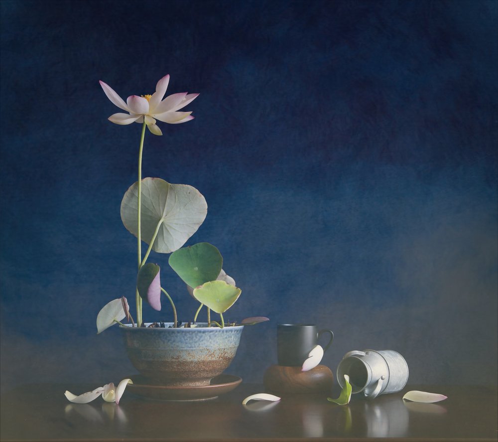 Stilleben med fridfull lotus av Fangping Zhou