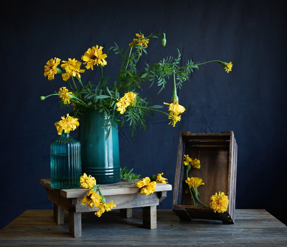 Stilbild med färgsprakande ringblommor av Fangping Zhou