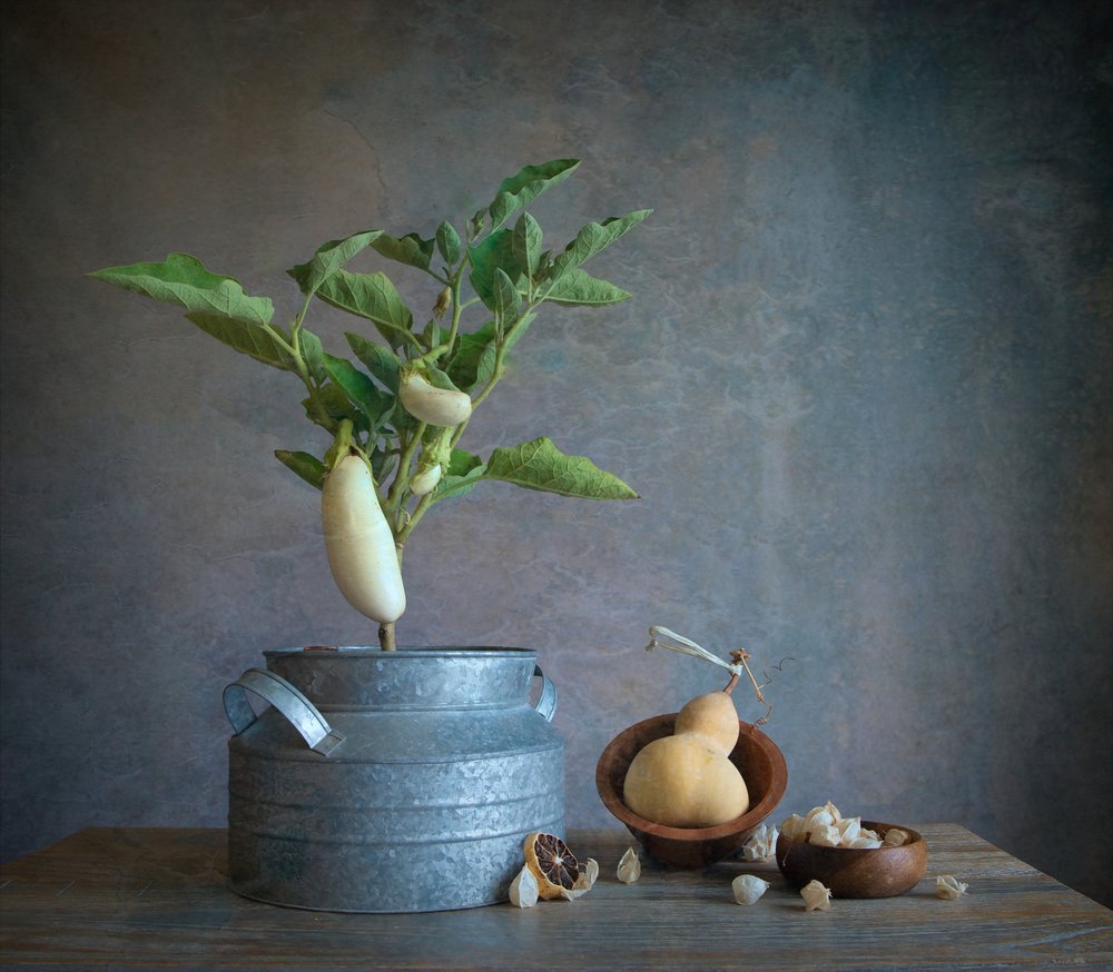 Stilleben med vit aubergine av Fangping Zhou