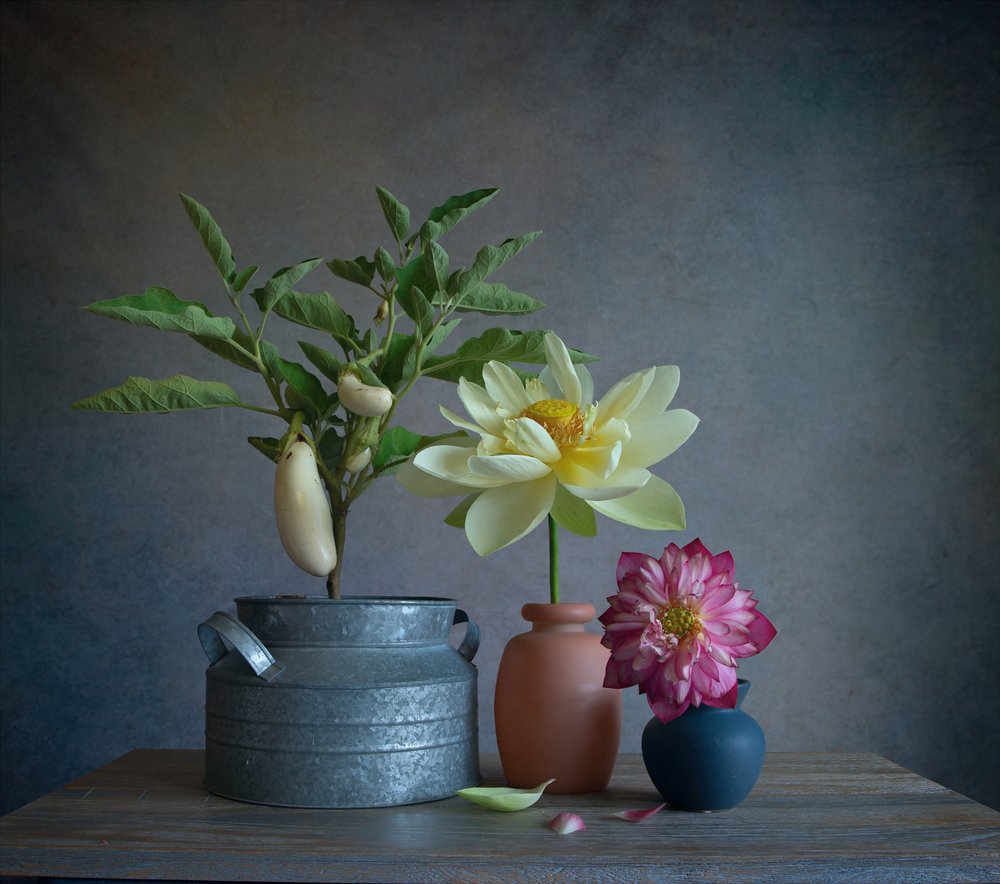 Vita auberginer – Dahlia Still av Fangping Zhou